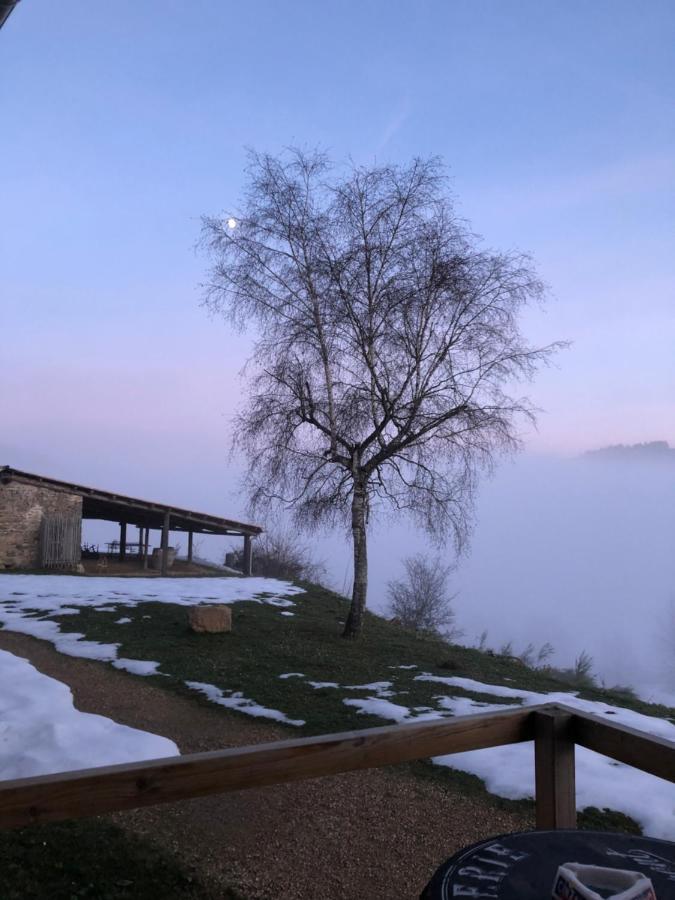 Saint-Appolinaire  Le Domaine Des Terresヴィラ エクステリア 写真