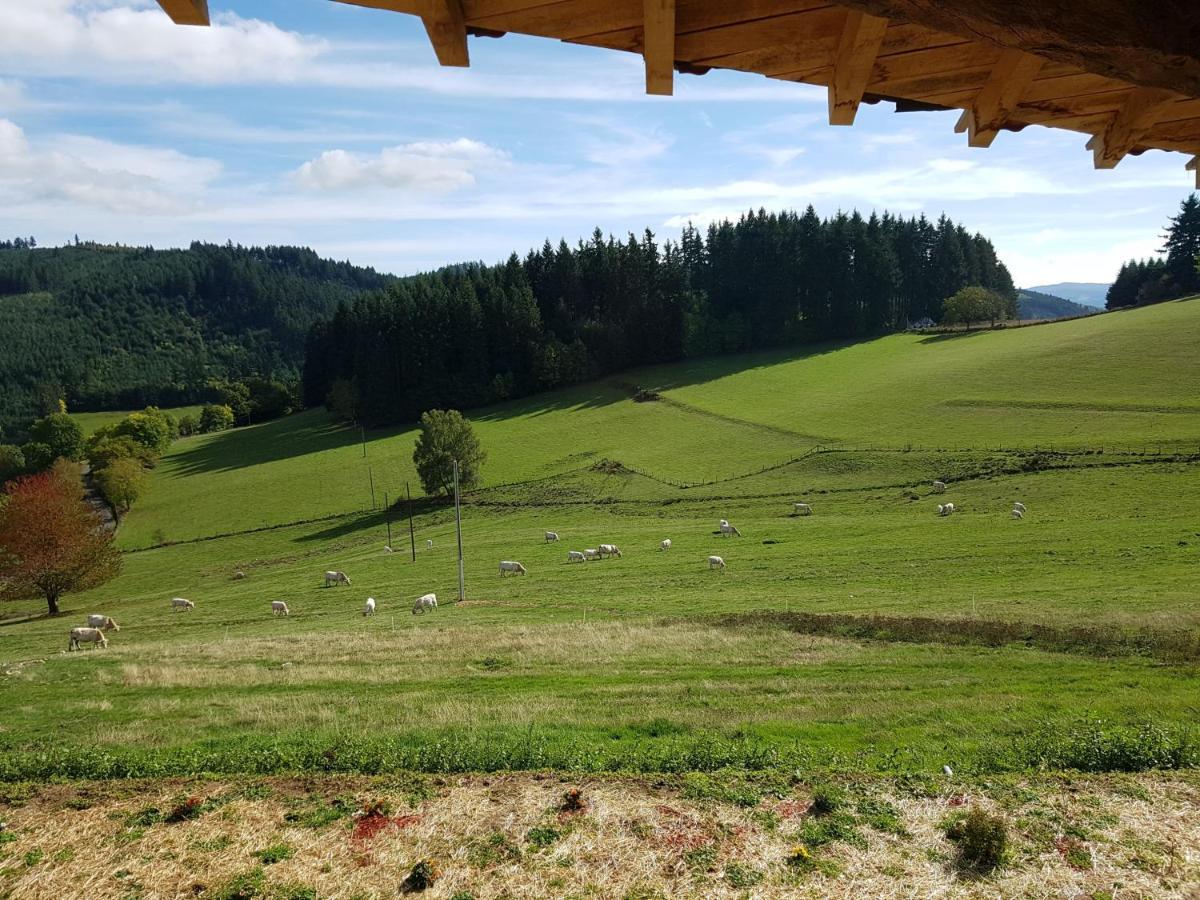 Saint-Appolinaire  Le Domaine Des Terresヴィラ エクステリア 写真